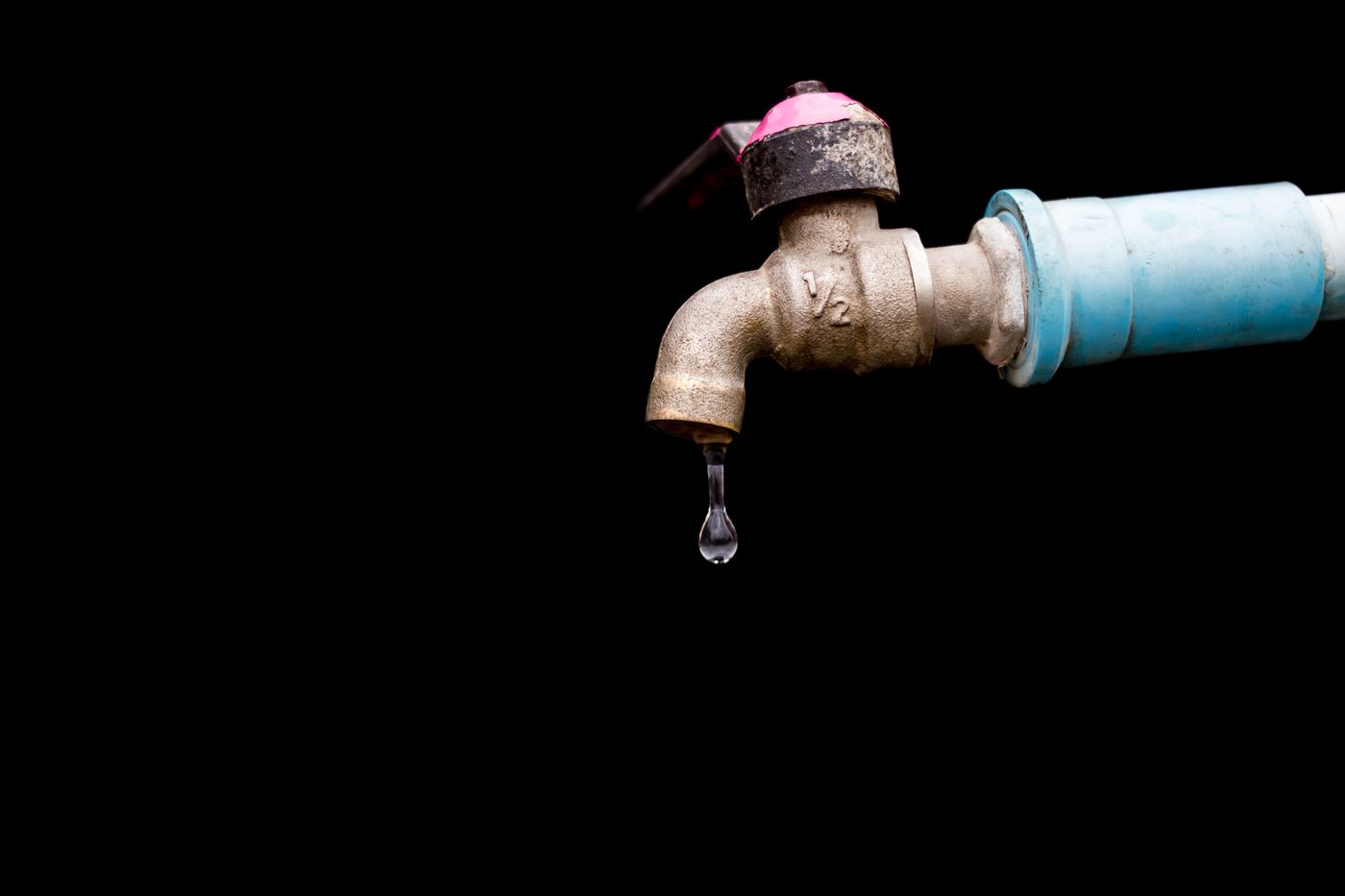 Grifo con una gota